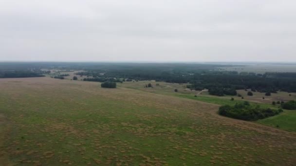 Συννεφιασμένο Τοπίο Από Ύψη Από Τηλεκατευθυνόμενο Αγροί Και Δάση Από — Αρχείο Βίντεο