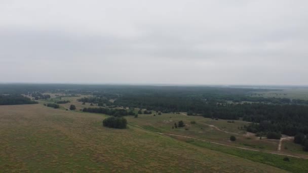 Paisagem Nublada Alturas Drone Campos Florestas Cima — Vídeo de Stock