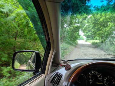 Kötü bir yolda bir arabada. Forest Yolu. Bir araba üzerinde off road. sürücü sürücüsü