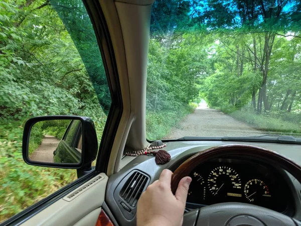 in a car on a bad road. Forest Road. off road on a car. driver driving