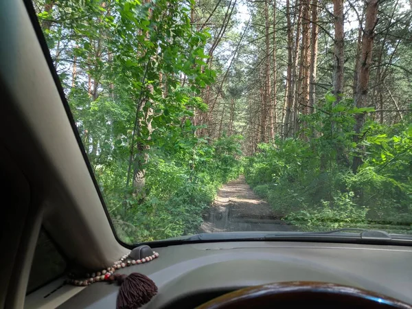 Kötü Bir Yolda Bir Arabada Forest Yolu Bir Araba Üzerinde — Stok fotoğraf