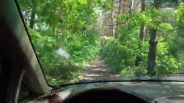 Kötü bir yolda bir arabada. Forest Yolu. Bir araba üzerinde off road. sürücü sürücüsü
