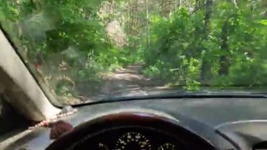 Kötü bir yolda bir arabada. Forest Yolu. Bir araba üzerinde off road. sürücü sürücüsü