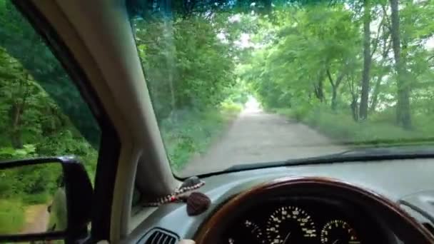 Num Carro Numa Estrada Forest Road Fora Estrada Carro Motorista — Vídeo de Stock