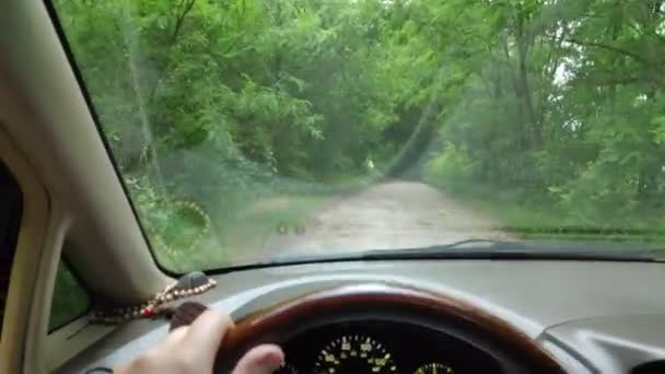 在一条糟糕的路上开车 森林路 在汽车的岔道上 司机驾驶 — 图库视频影像