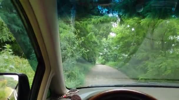 Einem Auto Auf Schlechter Straße Waldstraße Offroad Auf Einem Auto — Stockvideo