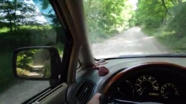 Sürücü arabanın içinde. araba ile seyahat.