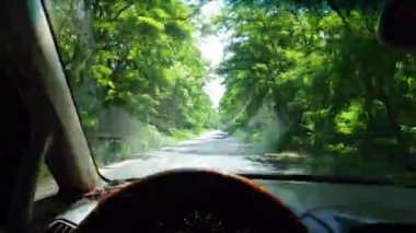 Sürücü arabanın içinde. araba ile seyahat.