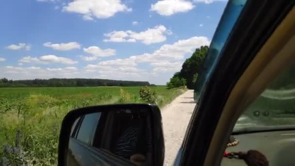 Motorista Dentro Carro Viagem Carro — Vídeo de Stock