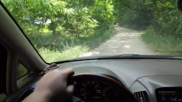 Motorista Dentro Carro Viagem Carro — Vídeo de Stock