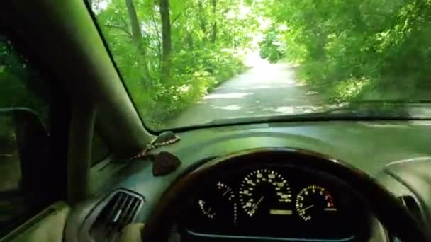 Conductor Dentro Del Coche Viajar Coche — Vídeo de stock