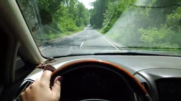 Motorista Dentro Carro Viagem Carro — Vídeo de Stock