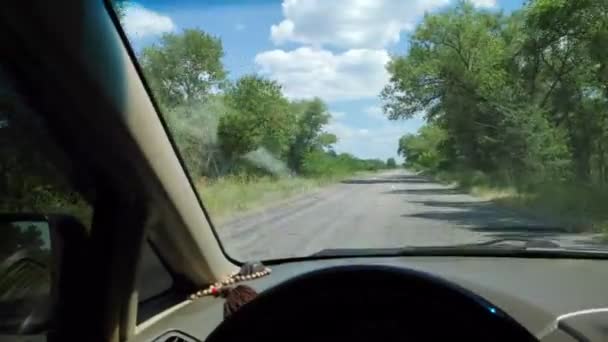 Motorista Dentro Carro Viagem Carro — Vídeo de Stock