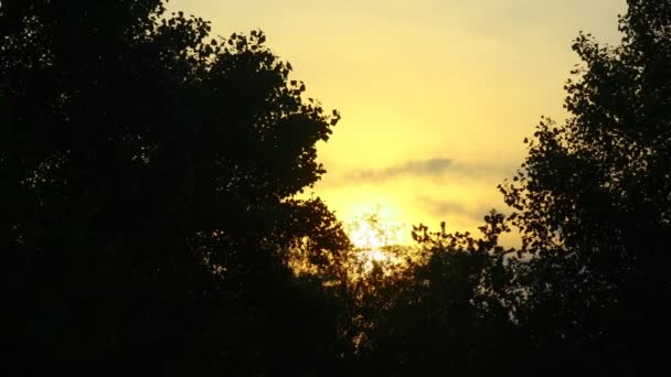 Sol Vermelho Nuvens Ramos Árvores Pôr Sol — Vídeo de Stock