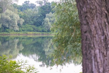 Nehir manzarası çok güzel. Sudaki yansıma. Nehirde bir yaz akşamı