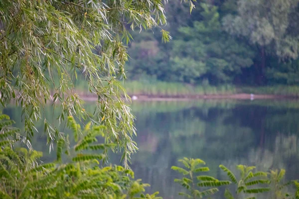 Hermoso Paisaje Río Reflexión Agua Tarde Verano Río — Foto de Stock