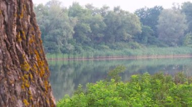 Nehir manzarası çok güzel. Sudaki yansıma. Nehirde bir yaz akşamı