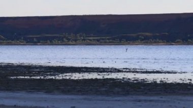 Güzel su. Sudaki yansıma. Denizin küçük dalgaları. Okyanus