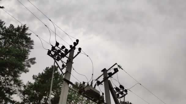 Elektrische Palen Hoogspanningsleidingen Elektrische Energie Draden — Stockvideo