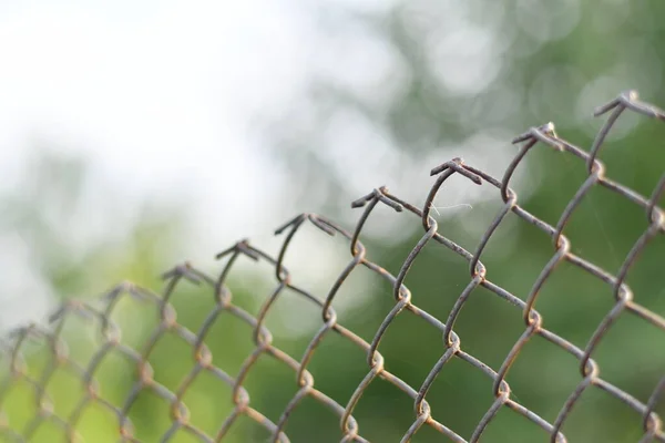 Metal Şebeke Tel Örgüler Esnek Metal — Stok fotoğraf