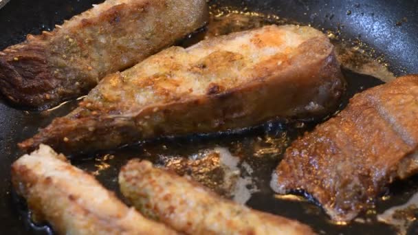 Tavada Kızarmış Balık Lezzetli Balık Parçaları Mutfakta Balık Pişirmek — Stok video