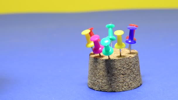 Multicolored Pushpins Fastening Buttons — Stock Video