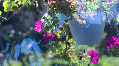 Duvardaki gölge. mavi arka plan. nesnelerin gölgesi. Şeffaf kumaş