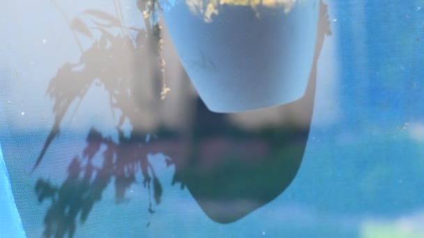 Sombra Pared Fondo Azul Sombra Objetos Tejido Transparente — Vídeos de Stock