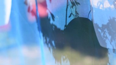 Duvardaki gölge. mavi arka plan. nesnelerin gölgesi. Şeffaf kumaş