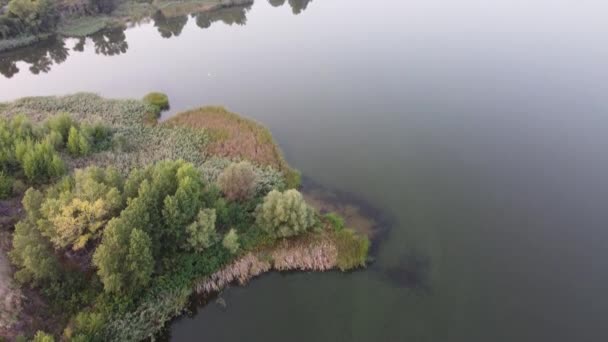 Flodbanken Uppifrån Landskap Med Vatten Reflektion Flygning Kvällen Över Vattnet — Stockvideo