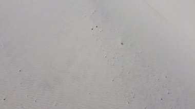 Beyaz kumla kaplı bir manzara. Beyaz kuvars kumu. Kumullar ve çöl sütyenleri