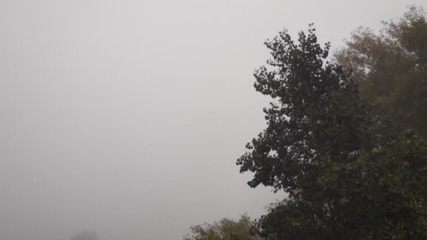 Paisaje Nublado Con Niebla Niebla Pesada Sobre Agua Caminar Por — Vídeos de Stock