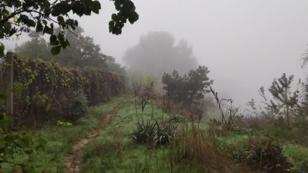 霧の中の曇り空 水の上に重い霧 狭い道を歩きなさい 霧の道 — ストック動画
