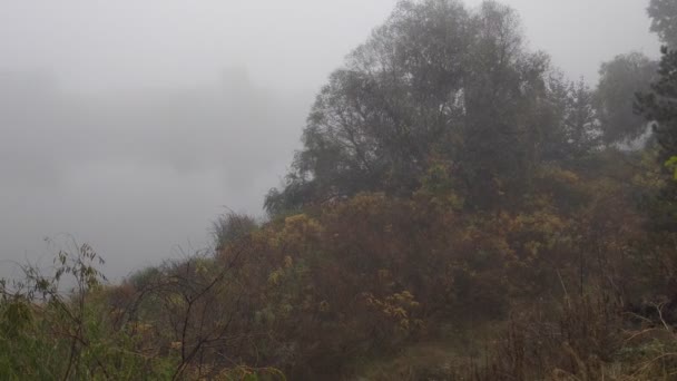 霧の中の曇り空 水の上に重い霧 狭い道を歩きなさい 霧の道 — ストック動画