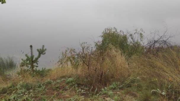 Paisaje Nublado Con Niebla Niebla Pesada Sobre Agua Caminar Por — Vídeos de Stock