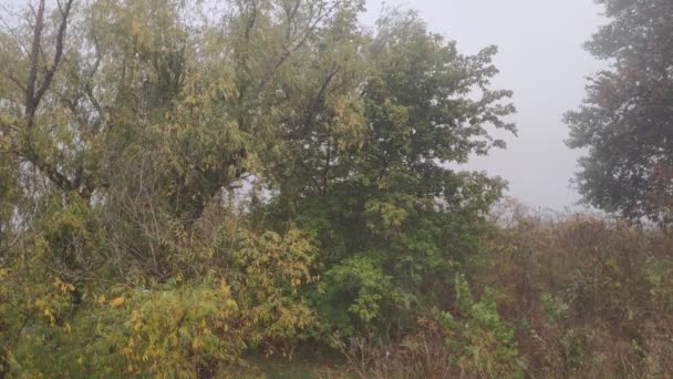 Paisaje Nublado Con Niebla Niebla Pesada Sobre Agua Caminar Por — Vídeos de Stock