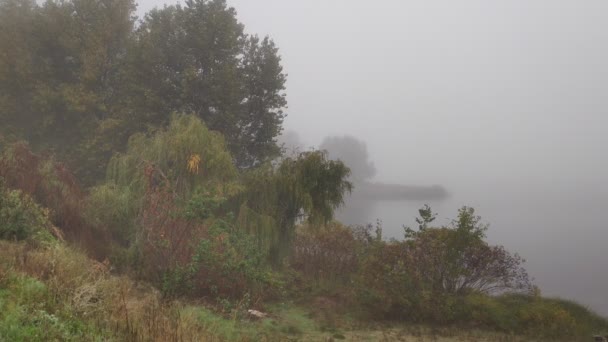 Paesaggio Nuvoloso Con Nebbia Nebbia Pesante Sull Acqua Camminare Lungo — Video Stock