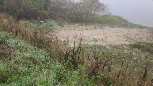 多雾的多云的风景 大雾笼罩在水面上 走在狭窄的小径上 多雾的道路 — 图库视频影像