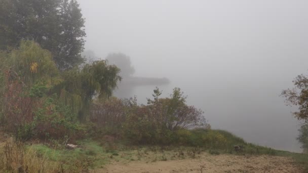 Pochmurny Krajobraz Mgłą Ciężka Mgła Nad Wodą Idź Wąską Ścieżką — Wideo stockowe