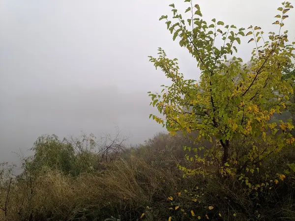 Cloudy Landscape Fog Heavy Fog Water Walk Narrow Path Foggy — Stock Photo, Image