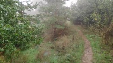 Sis ile kaplı bulutlu bir manzara. Suyun üzerinde yoğun sis var. Dar bir patika boyunca yürü. Sisli yol