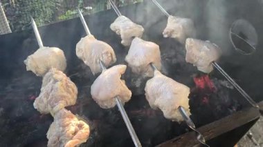 Şişe kebap. Izgara Lezzetli Barbekü. Kömür Souvlaki 'de Piknik yaparken Metal Biftek Şişi. Street Food Grill 'de. Izgarada marine edilmiş Shashlik Souvlaki. Izgara barbekü eti ateşte..