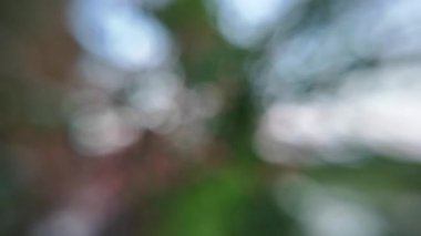 abstract nature background. green blurred background. dark background. blurred video. bubbles.