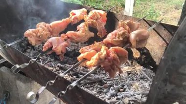 Piknik Izgara Yemekleri Kampı. Kabuklu Tavuk Kanatları. Ateşli Taze Yemek. İştah açıcı parti yemekleri. Izgarada Kızarmış Et. Baharatlı Tavuk Pepper Chick. Sağlıksız yiyecekler. Ev yapımı Holiday Lezzetli Tavuk Kanatları