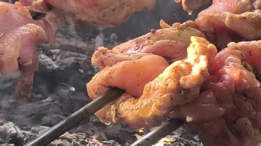 Piknik Izgara Yemekleri Kampı. Kabuklu Tavuk Kanatları. Ateşli Taze Yemek. İştah açıcı parti yemekleri. Izgarada Kızarmış Et. Baharatlı Tavuk Pepper Chick. Sağlıksız yiyecekler. Ev yapımı Holiday Lezzetli Tavuk Kanatları