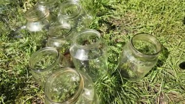 Konserve için cam kavanozlar. Boş cam kavanozlar ev konserveleri ve yiyecek depolama için bir mağaza rafına dizilmiş. Boş bir cam kavanozu tutan el.