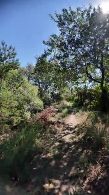 nature walk. 4k video 60 fps. wide angle. narrow path. nature background. natural landscape. hiking. walk. first person video. POV. blue sky. bright sunny day.