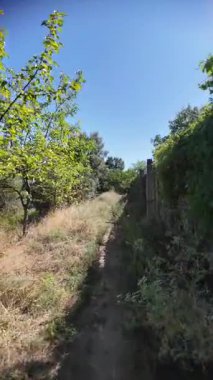 nature walk. 4k video 60 fps. wide angle. narrow path. nature background. natural landscape. hiking. walk. first person video. POV. blue sky. bright sunny day.