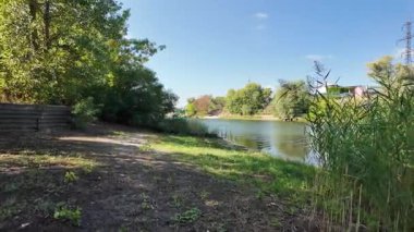 Sakin bir su kütlesinin üzerindeki uzun kamışların arasından mavi gökyüzünü ve ağaçları yansıtır. Güneş ışığı ve bulutlar, derinliği ve canlı rengiyle huzurlu ve sürükleyici bir doğa sahnesi yaratır..