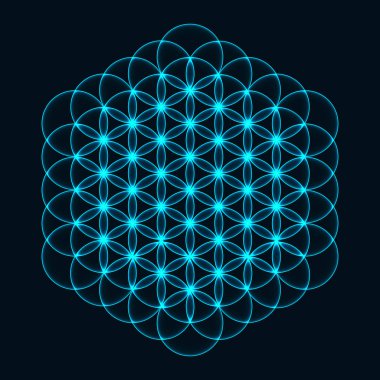 Çiçek yaşam. Kutsal geometri. Uyum ve denge sembolü. Vektör